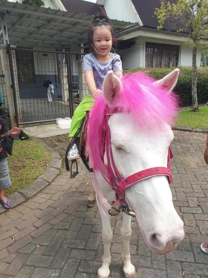 Villa Hello Kitty Kota Bunga Puncak Cinengangirang Εξωτερικό φωτογραφία